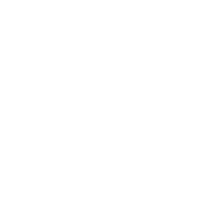 Money-back guarantee icon